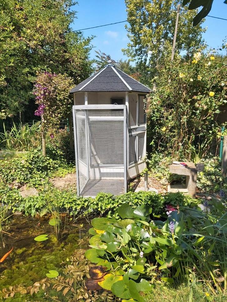 Buitenvoliere voor kanaries e.d., Dieren en Toebehoren, Vogels | Hokken en Kooien, Volière, Ophalen