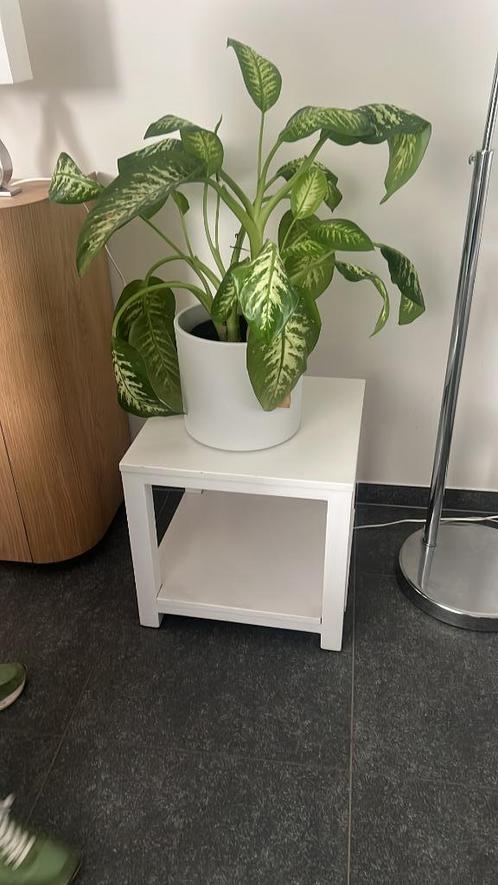 Witte bijzettafel met plant (excl. pot), Huis en Inrichting, Tafels | Bijzettafels, Zo goed als nieuw, Vierkant, 45 tot 60 cm
