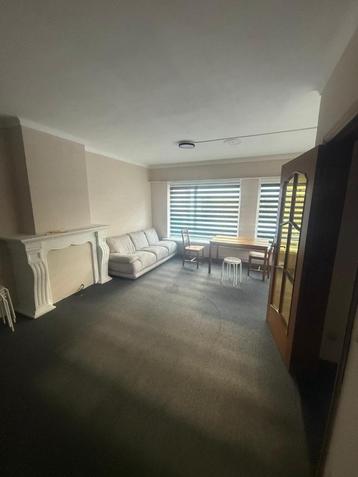 Te huur 10 kamers Arbeiders regio Antwerpen/ Hoogstraten  beschikbaar voor biedingen