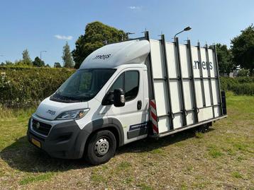 Fiat Ducato Véhicule Utilitaire/Rail en Verre, Achat, Euro 6, Entreprise, Autres carburants