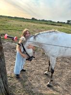 Halve Stal Wetteren-ten-Ede energieke, lieve, sloeber E-pony, Dieren en Toebehoren, E pony (1.48m - 1.57m), B, Gechipt, Ruin