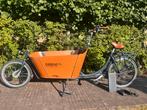 Babboe City-E Hout met maxi-cosi drager en zitbankkussentje, Ophalen, Gebruikt, 3 kinderen, Elektrisch