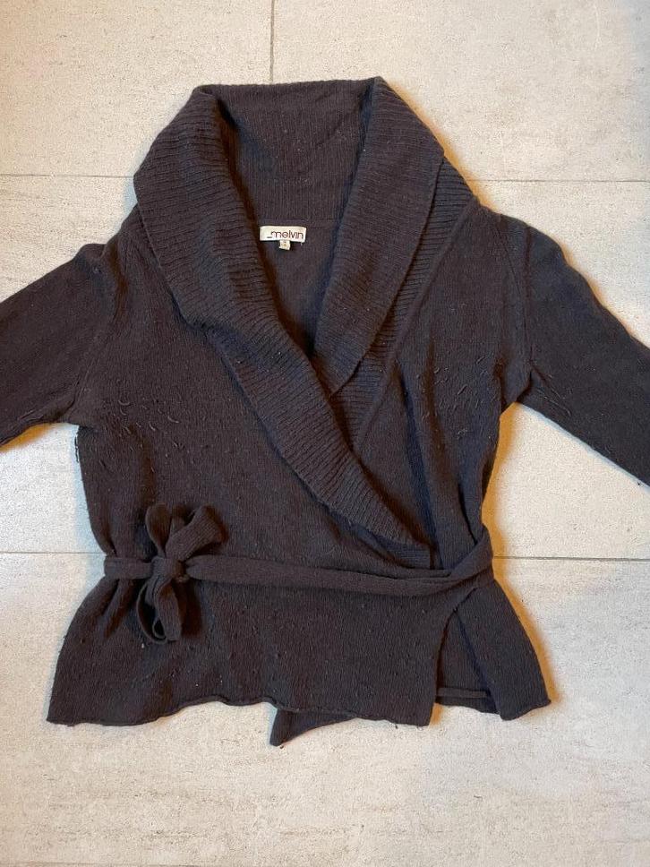 Mooie gilet Melvin maat 38, Kleding | Dames, Truien en Vesten, Gedragen, Maat 38/40 (M), Bruin, Ophalen of Verzenden