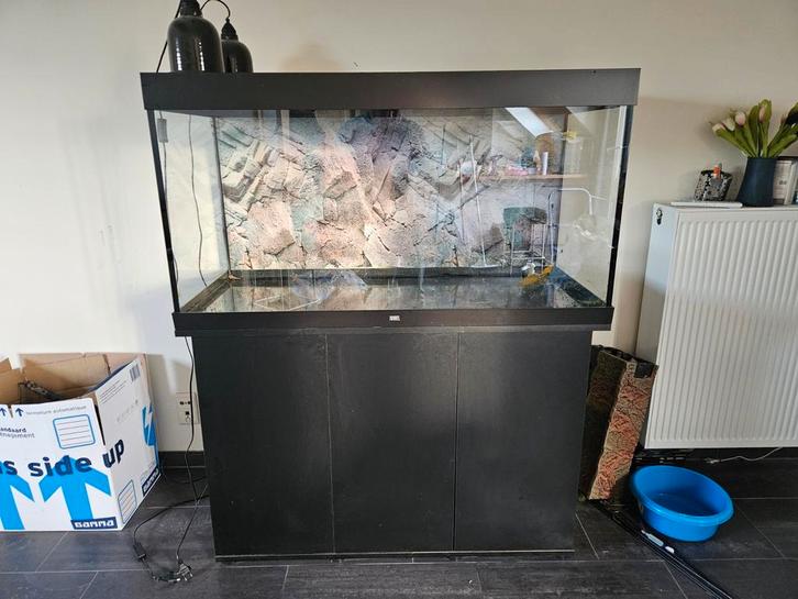 Juwel Rio 350 Aquarium + Kast, Animaux & Accessoires, Poissons | Aquariums & Accessoires, Utilisé, Aquarium vide, Enlèvement