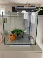 Aquarium 30L, Dieren en Toebehoren, Ophalen, Gebruikt, Leeg aquarium