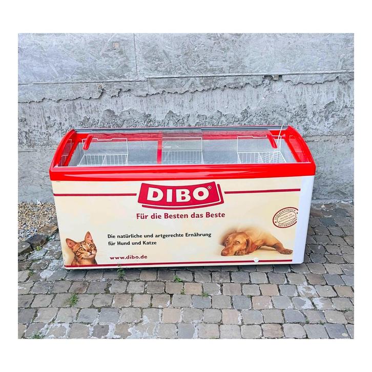 Congélateur avec 3 paniers 573L professionnel diepvries, Elektronische apparatuur, Vriezers en Diepvrieskisten, Gebruikt, Vrieskast