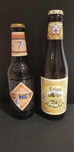 LOT DE BIERES - GUINESS,  VAL-DIEU, OMER, HOEGAARDEN, ...., Ophalen, Nieuw, Flesje(s), Overige merken