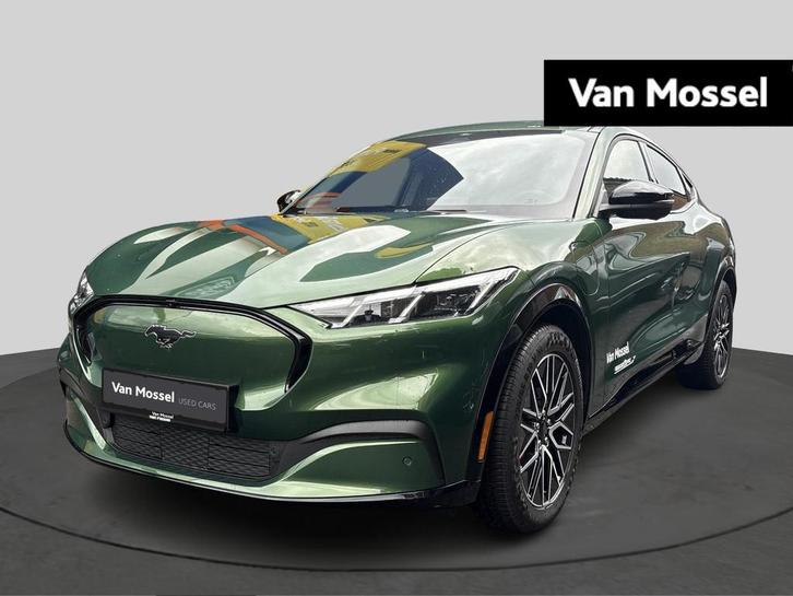 Ford Mustang Mach-E 99kWh 216kW Extended Range Premium RWD, Autos, Ford, Entreprise, Achat, Mustang, Caméra 360°, Bluetooth, Electronic Stability Program (ESP)