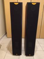 Luidsprekerboxen Triangle, Autres marques, 60 à 120 watts, Comme neuf, Enlèvement