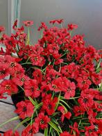 Grand pot avec fleurs artificielles NOUVEAU, Maison & Meubles, Accessoires pour la Maison | Plantes & Fleurs artificielles, Comme neuf