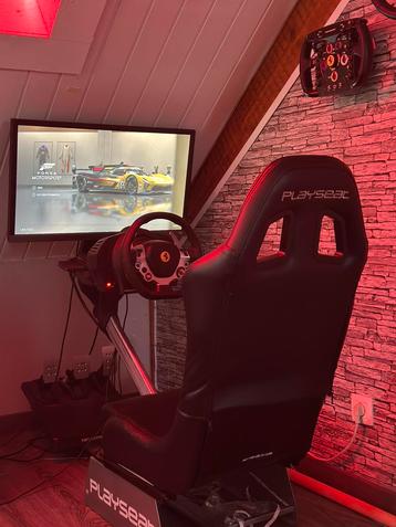 Setup complet THRUSTMASTER SERVO TX playseat F1 beschikbaar voor biedingen