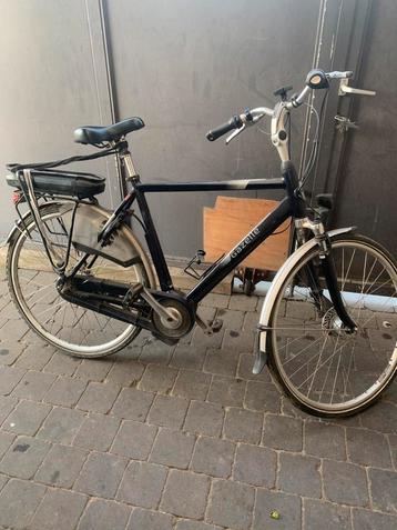 Gazelle beschikbaar voor biedingen