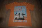 Shirt maat 6 jaar, Jongen of Meisje, Ophalen of Verzenden, Shirt of Longsleeve, Palomino