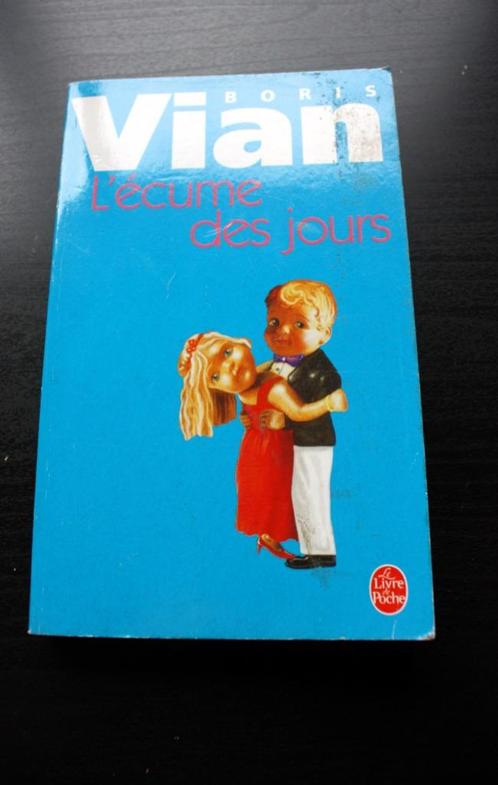 L'écume des jours - Boris Vian - format poche -très bon état, Boeken, Literatuur, Zo goed als nieuw, België, Ophalen of Verzenden