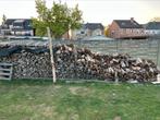 Stookhout, Tuin en Terras, 6 m³ of meer, Ophalen, Overige houtsoorten, Blokken