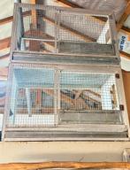Box d'elevage, Dieren en Toebehoren, Vogels | Hokken en Kooien, Ophalen, Gebruikt, Aluminium, Broedkooi of Kweekkooi