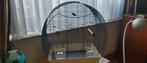 Cage pour canari, Enlèvement, Neuf, Métal, Cage à oiseaux