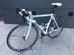 Koersfiets Focus Cayo, Fietsen en Brommers, Fietsen | Racefietsen, Ophalen, Zo goed als nieuw, Carbon