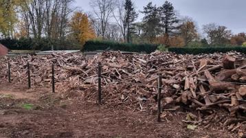 55 per gestapelde m3 brandhout mengeling  beschikbaar voor biedingen