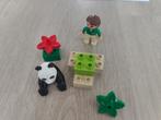 Duplo 6173 - Panda, Enfants & Bébés, Jouets | Duplo & Lego, Comme neuf, Duplo, Ensemble complet, Enlèvement