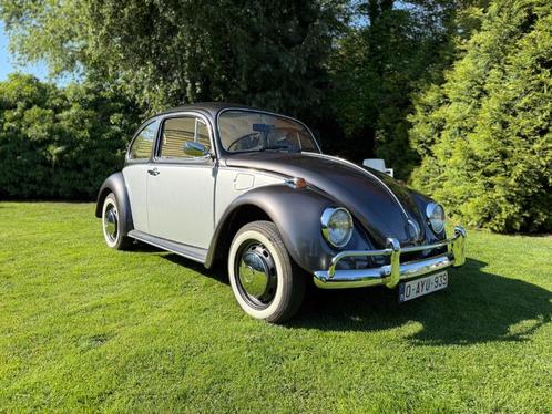 VW Kever 1973 | 1300cc, Auto's, Volkswagen, Particulier, Beetle (Kever), Bluetooth, Mistlampen, Radio, USB, Benzine, Coupé, 2 deurs