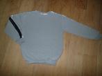 Lewis & Melly lichtgrijze sweater met pailletten (15-16j), Meisje, Trui of Vest, Ophalen of Verzenden, Zo goed als nieuw