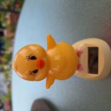 Wobbling head kuiken beschikbaar voor biedingen