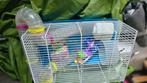 cage à hamsters, Animaux & Accessoires, Enlèvement, Utilisé