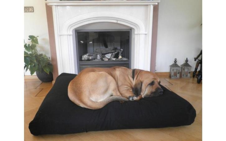 Comfortbag Canvas Zwart EPS Korrelvulling vanaf € 34,95!, Dieren en Toebehoren, Honden-accessoires, Nieuw, Ophalen of Verzenden