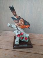 G.Armani vogeltje, Ophalen, Zo goed als nieuw