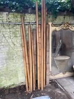 Bamboeset, Tuin en Terras, Planten | Tuinplanten, Ophalen