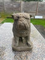 Bulldog Stenen Beeld, Tuin en Terras, Ophalen, Zo goed als nieuw, Steen, Dierenbeeld