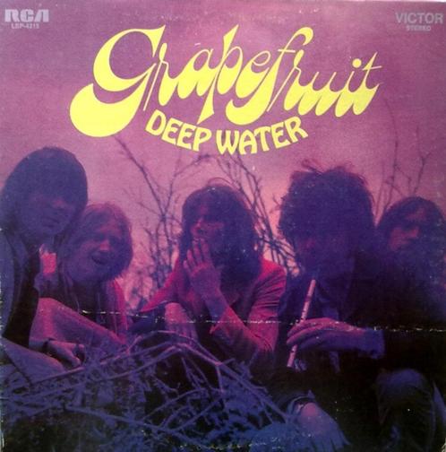 Grapefruit – Deep Water, Cd's en Dvd's, Vinyl | Rock, Gebruikt, Poprock, 12 inch, Ophalen of Verzenden