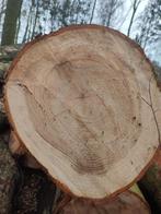 ceder boom voor planken, Doe-het-zelf en Bouw, Hout en Planken, Nieuw, Grenen, 300 cm of meer, Ophalen