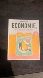 Karolien Van Riel - Economie, wat doe je ermee?, Boeken, Ophalen of Verzenden, Karolien Van Riel; Valentijn Brasseur