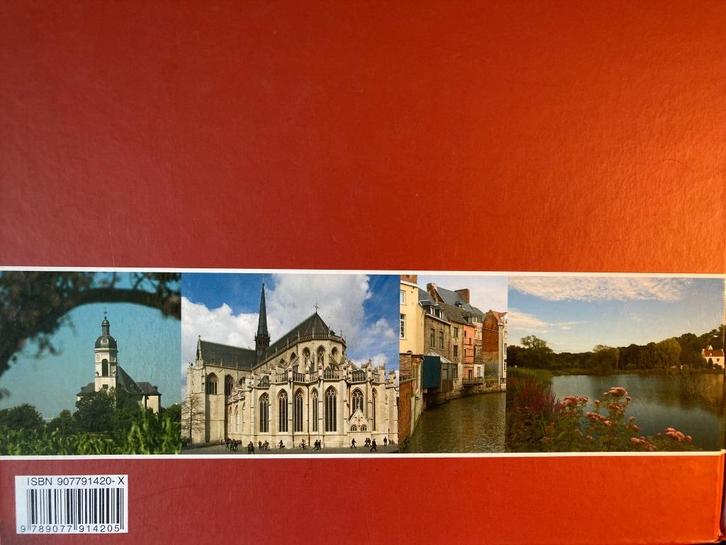 Daarom Leuven, Boeken, Geschiedenis | Stad en Regio, Zo goed als nieuw, Ophalen