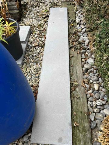 Betonplaat voor schutting 200x30x3 beschikbaar voor biedingen