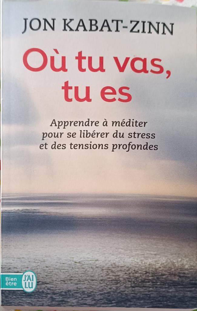 Où tu vas, tu es: Apprendre à méditer pour se libérer..., Boeken, Esoterie en Spiritualiteit, Gelezen, Achtergrond en Informatie