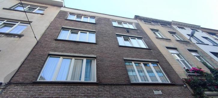 Magnifique appartement lumineux au cœur de Bruxelles, Immo, Huizen en Appartementen te koop, Brussel, Appartement, D