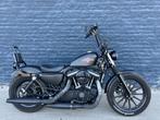 harley davidson sportster iron met leuke opties, Motoren, 2 cilinders, Chopper, Bedrijf, 883 cc