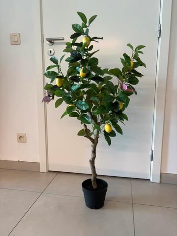 Kunst citroenboompje beschikbaar voor biedingen
