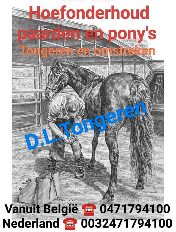Hoefonderhoud paarden en pony's., Dieren en Toebehoren, Paarden en Pony's | Overige Paardenspullen, Zo goed als nieuw, Ophalen