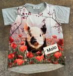 MOLO T-shirt met klaprozen en guitige big (maat 128), Kinderen en Baby's, Kinderkleding | Maat 128, Meisje, Ophalen of Verzenden
