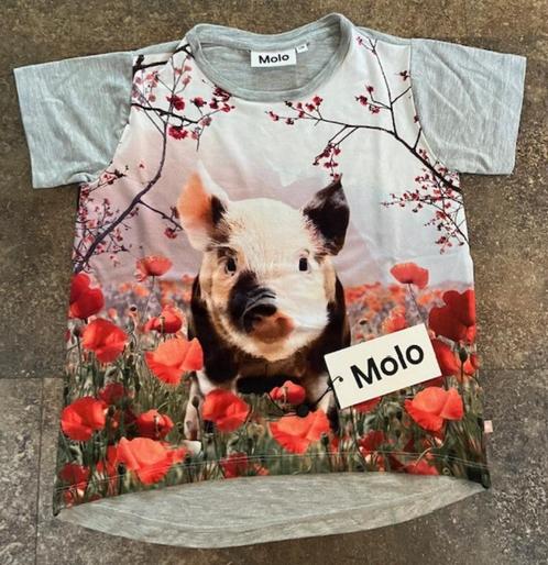 MOLO T-shirt met klaprozen en guitige big (maat 128), Kinderen en Baby's, Kinderkleding | Maat 128, Zo goed als nieuw, Meisje