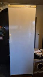 Diepvries Siemens gs35k05/01, Elektronische apparatuur, Gebruikt, 160 cm of meer, Ophalen, Vrieskast