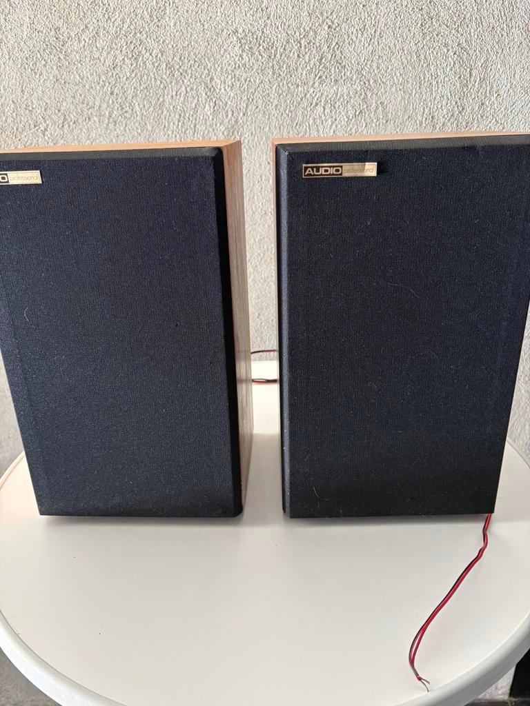 Audio professional AP20, TV, Hi-fi & Vidéo, Enceintes, Enlèvement, Utilisé, Haut-parleurs Frontaux, Arrière ou Stéréo
