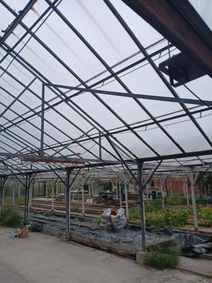 serre, Tuin en Terras, Kassen, Glas, Ophalen