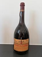 1981 Chateau de la Gardine — Châteauneuf-du-Pape-Magnum 1, L, Enlèvement, Comme neuf