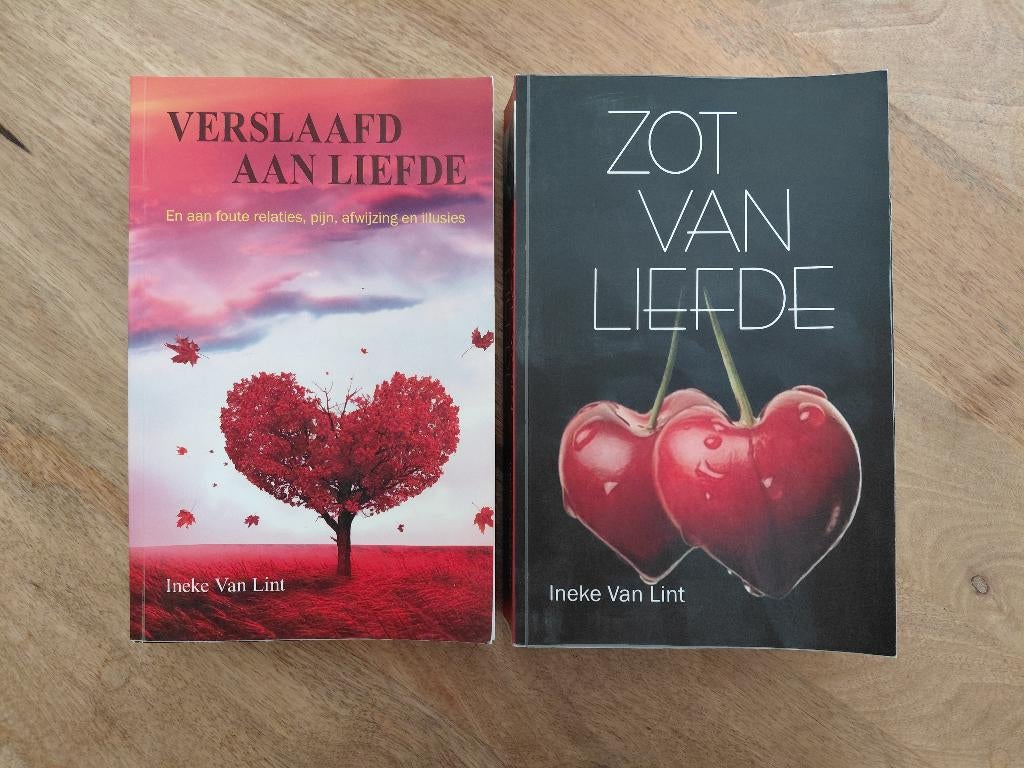 Boeken Ineke van Lint, Boeken, Ophalen of Verzenden, Zo goed als nieuw, Ineke van Lint
