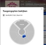 4 Tickets Circus Camille 2026, Drie personen of meer